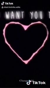 Meet your Posher, Gracie